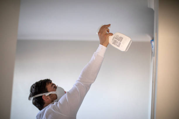 Best Attic Mold Removal  in Fridley, MN